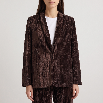 Blazer de veludo castanho